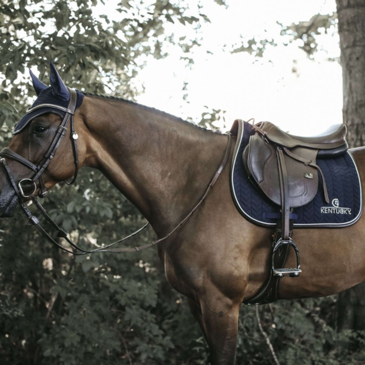 Kentucky Saddlepad Jumping Fishbone Leather Navy