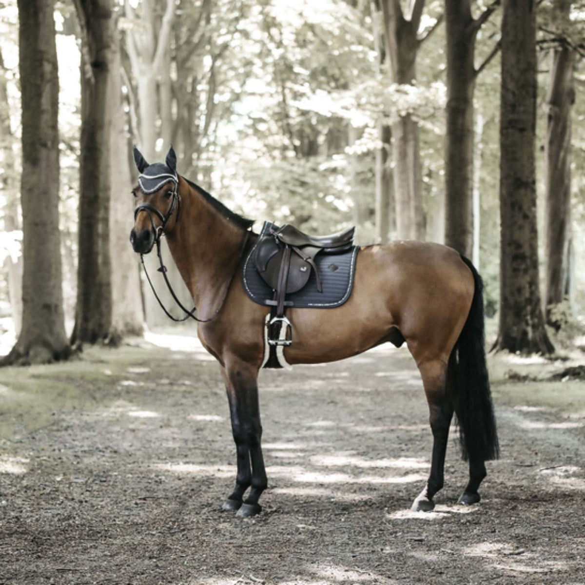 Kentucky Saddlepad Jumping Pearls Grey