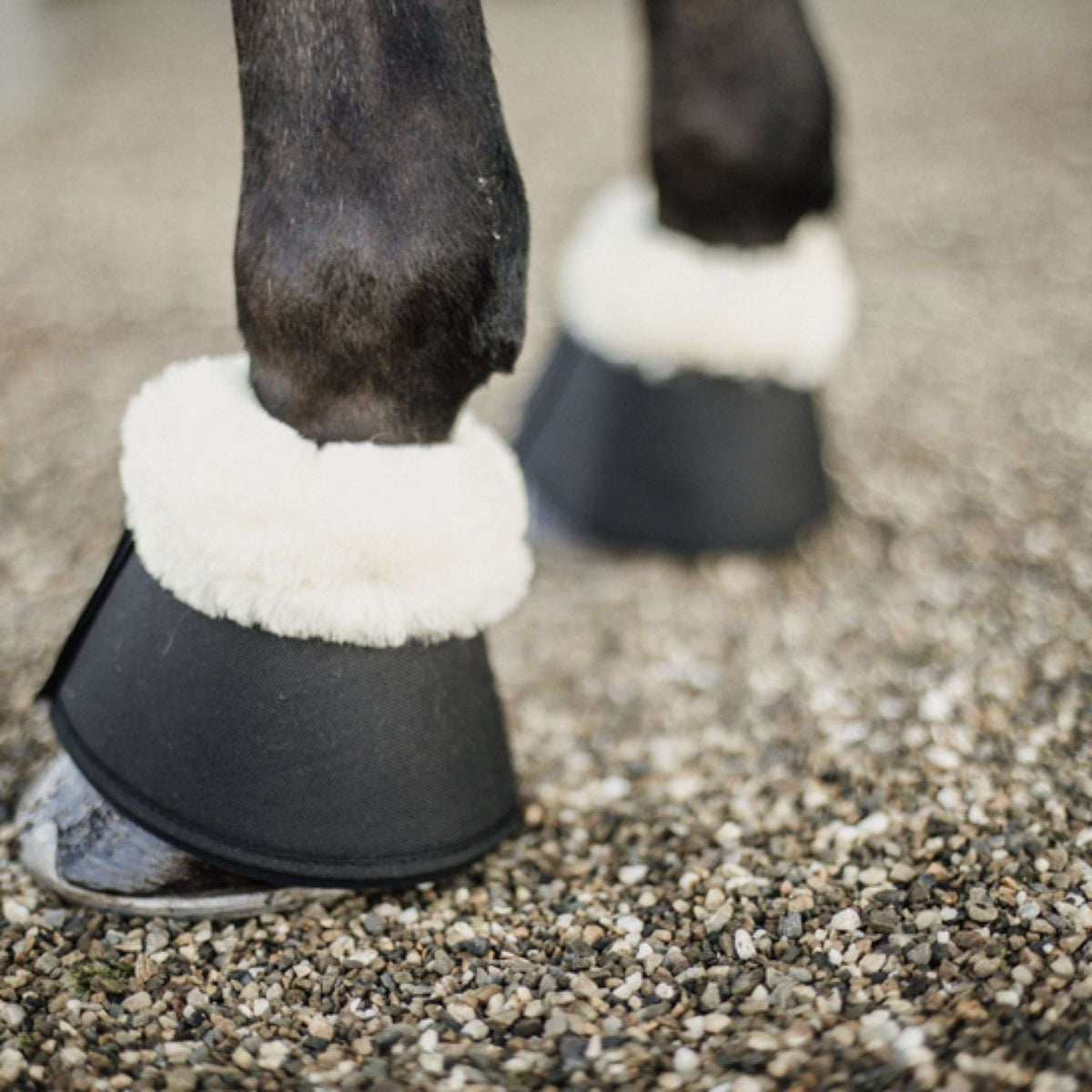 Kentucky Horsewear Bell Boots Sheepskin Black