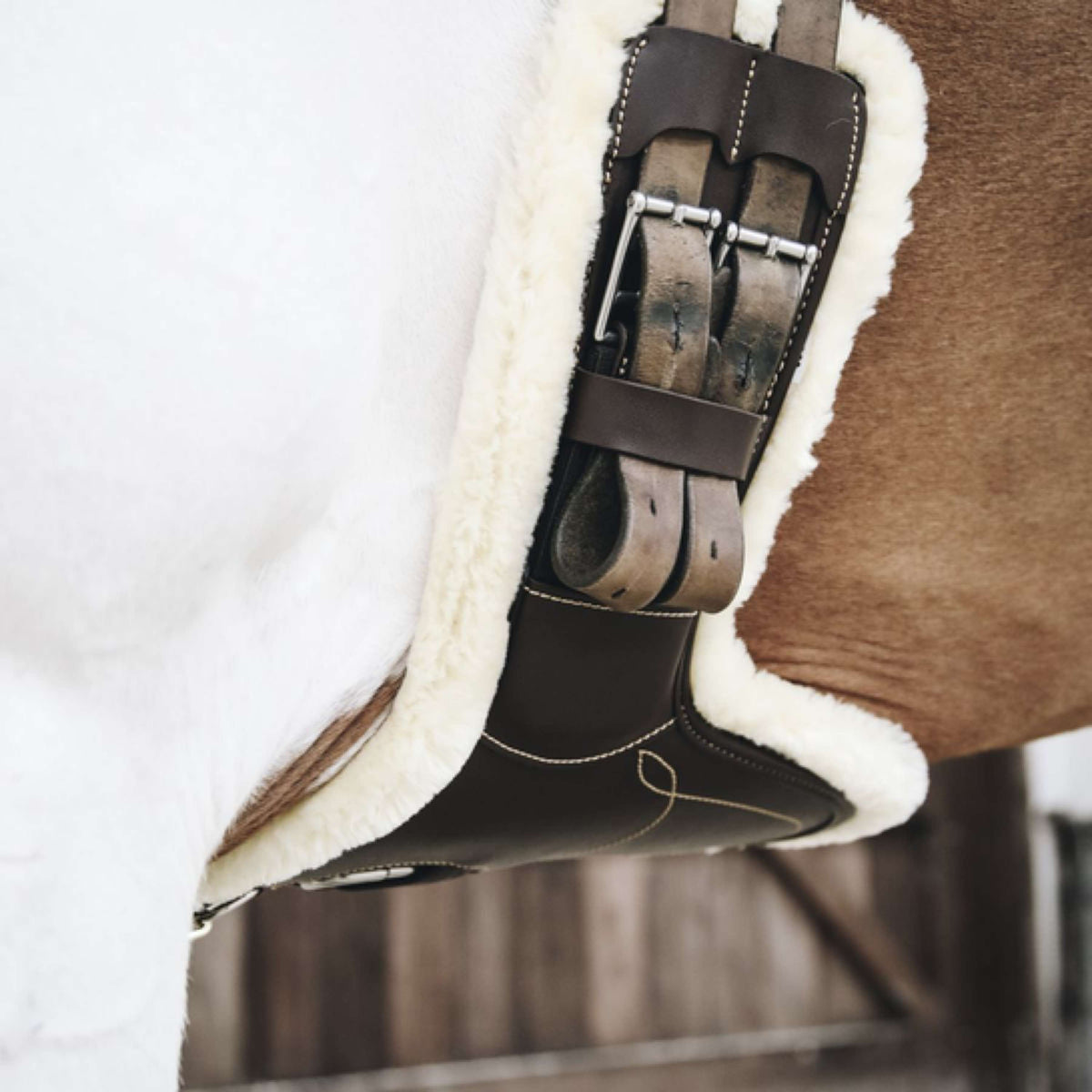 Kentucky Jumping Girdle Sheepskin Short Stud Brown