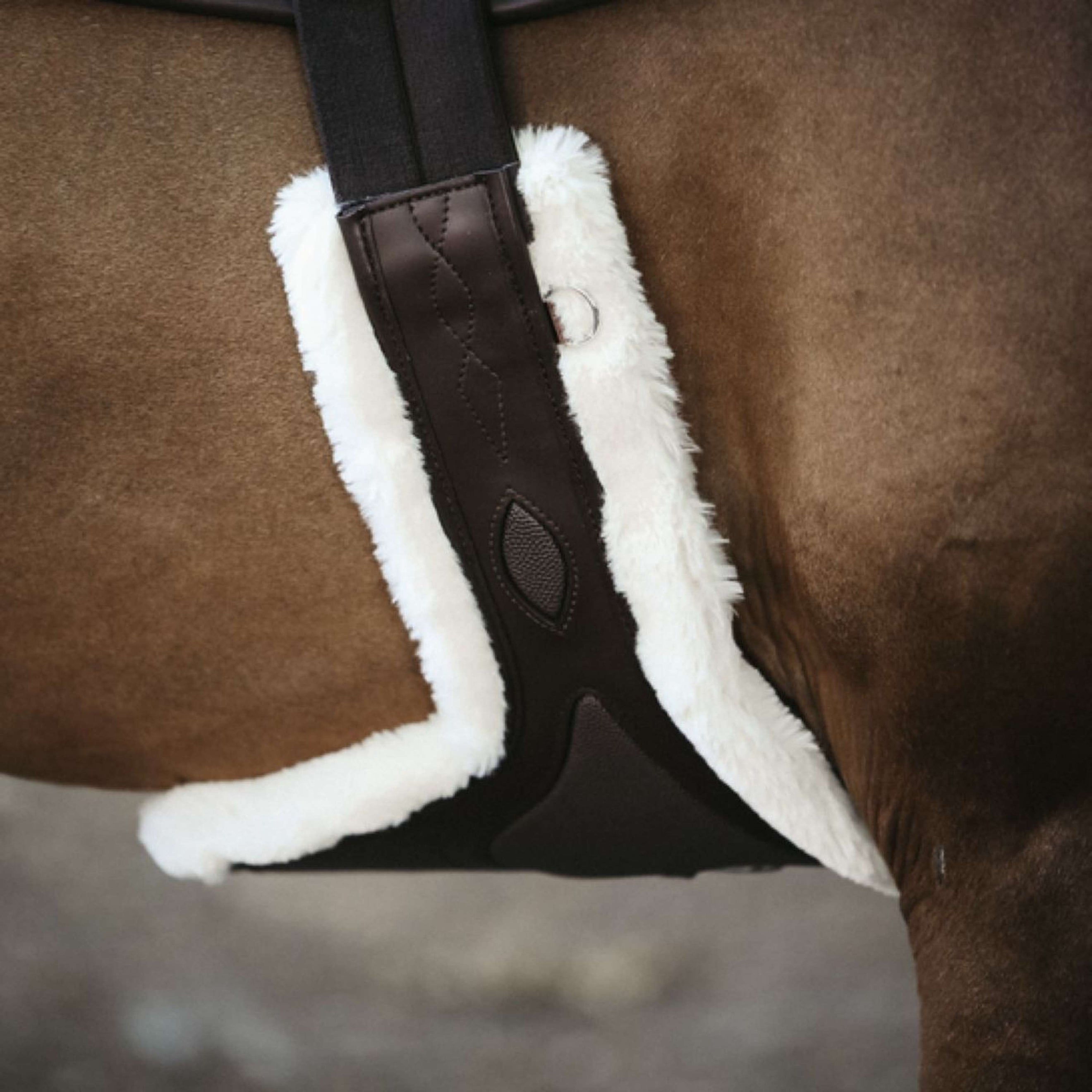 Kentucky Jumping Girdle Sheepskin Special Brown Kentucky Jumping Girdle Sheepskin Special Brown