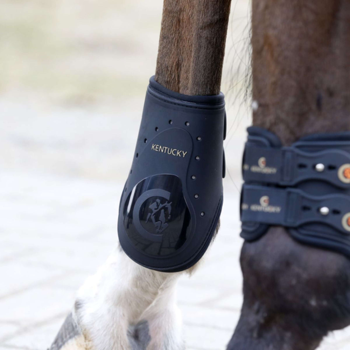 Kentucky Horsewear Fetlock Boots Elastic Black