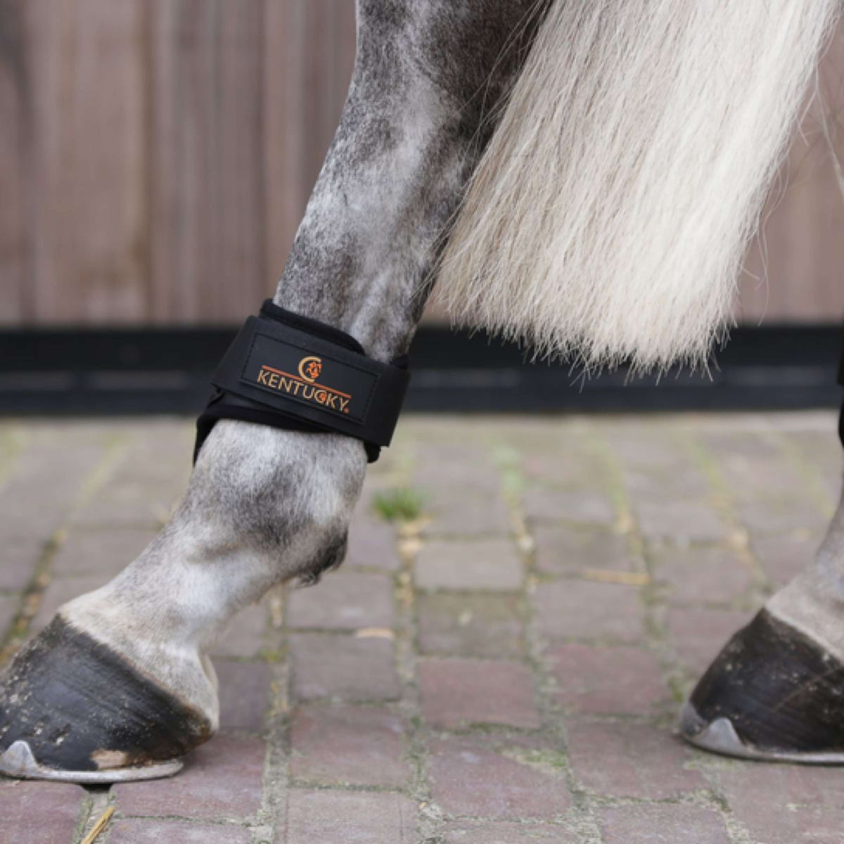 Kentucky Horsewear Fetlock Boots Young Horse Black