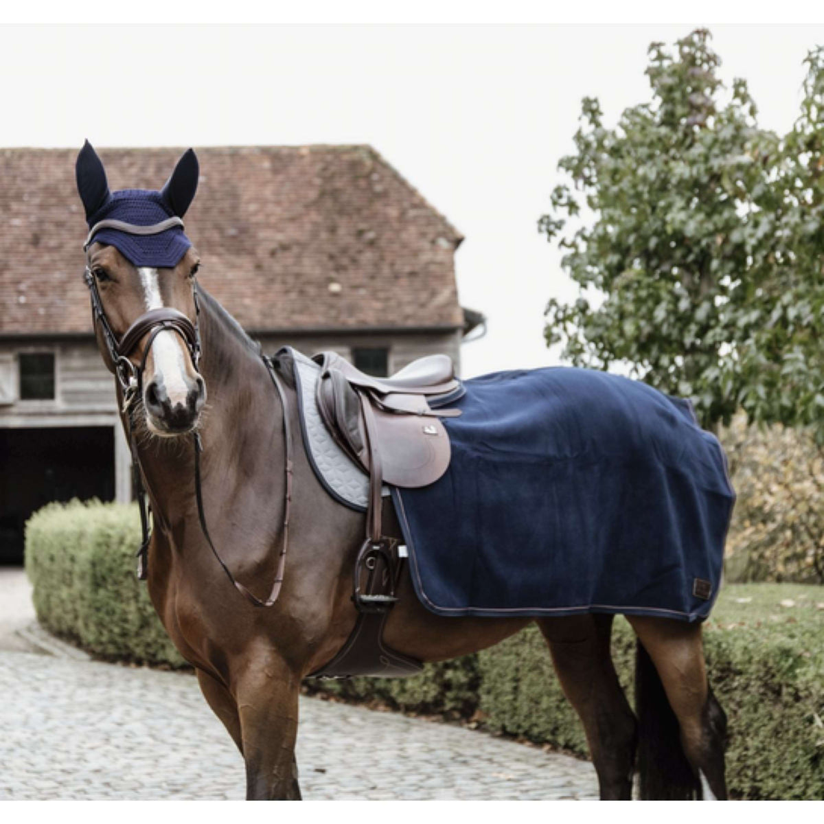 Kentucky Exercise Rug Square Heavy Fleece Navy