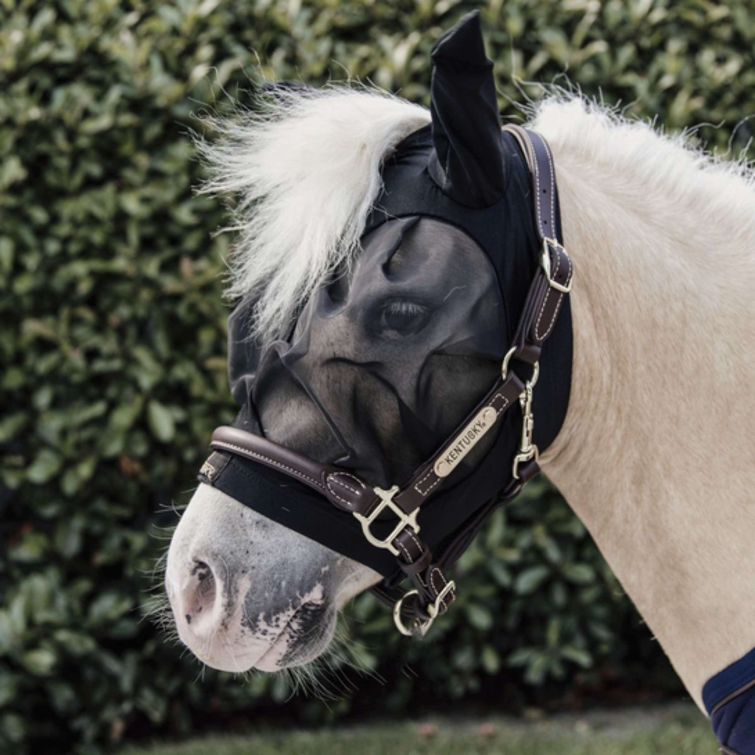 Kentucky Fly Mask Slim Fit Black