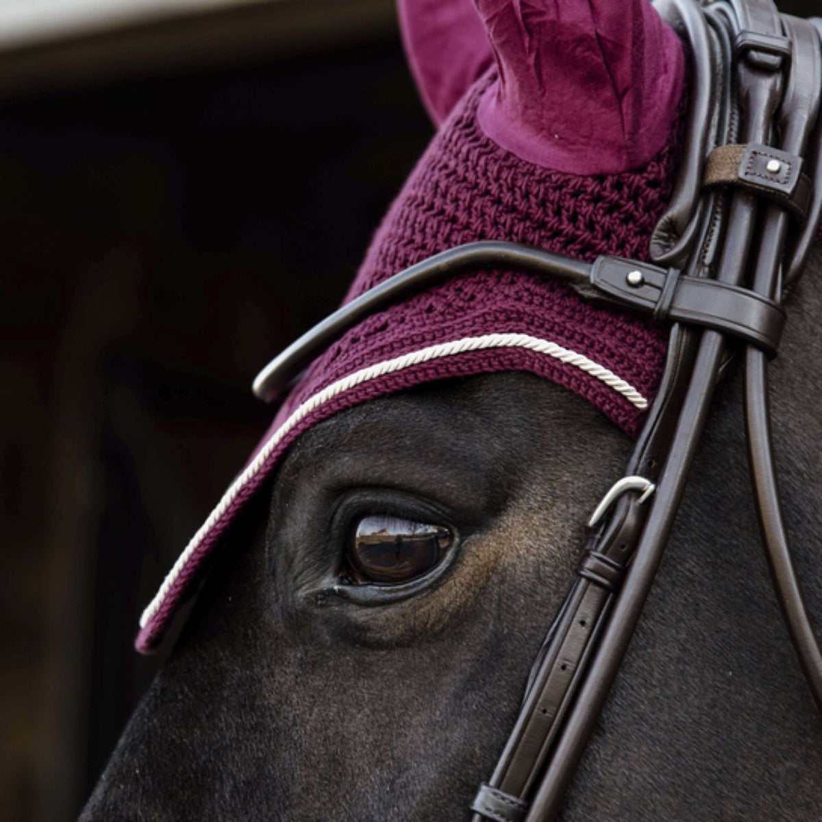 Kentucky Ear Cover Wellington Velvet Bordeaux