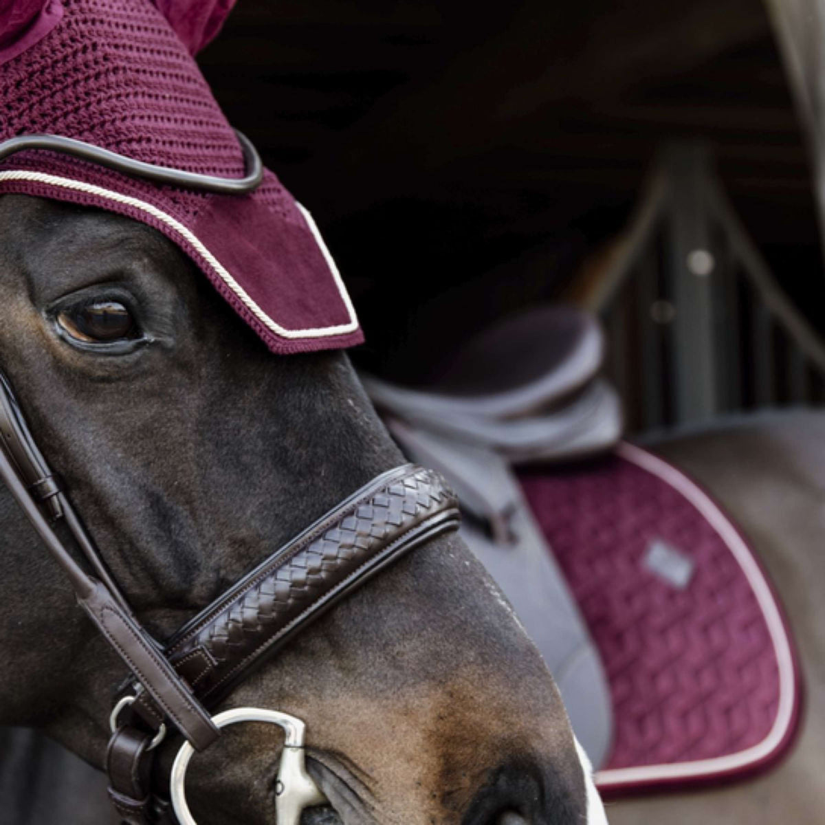 Kentucky Ear Cover Wellington Velvet Bordeaux