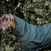 Kentucky Turnout All Weather 160g Dark Green