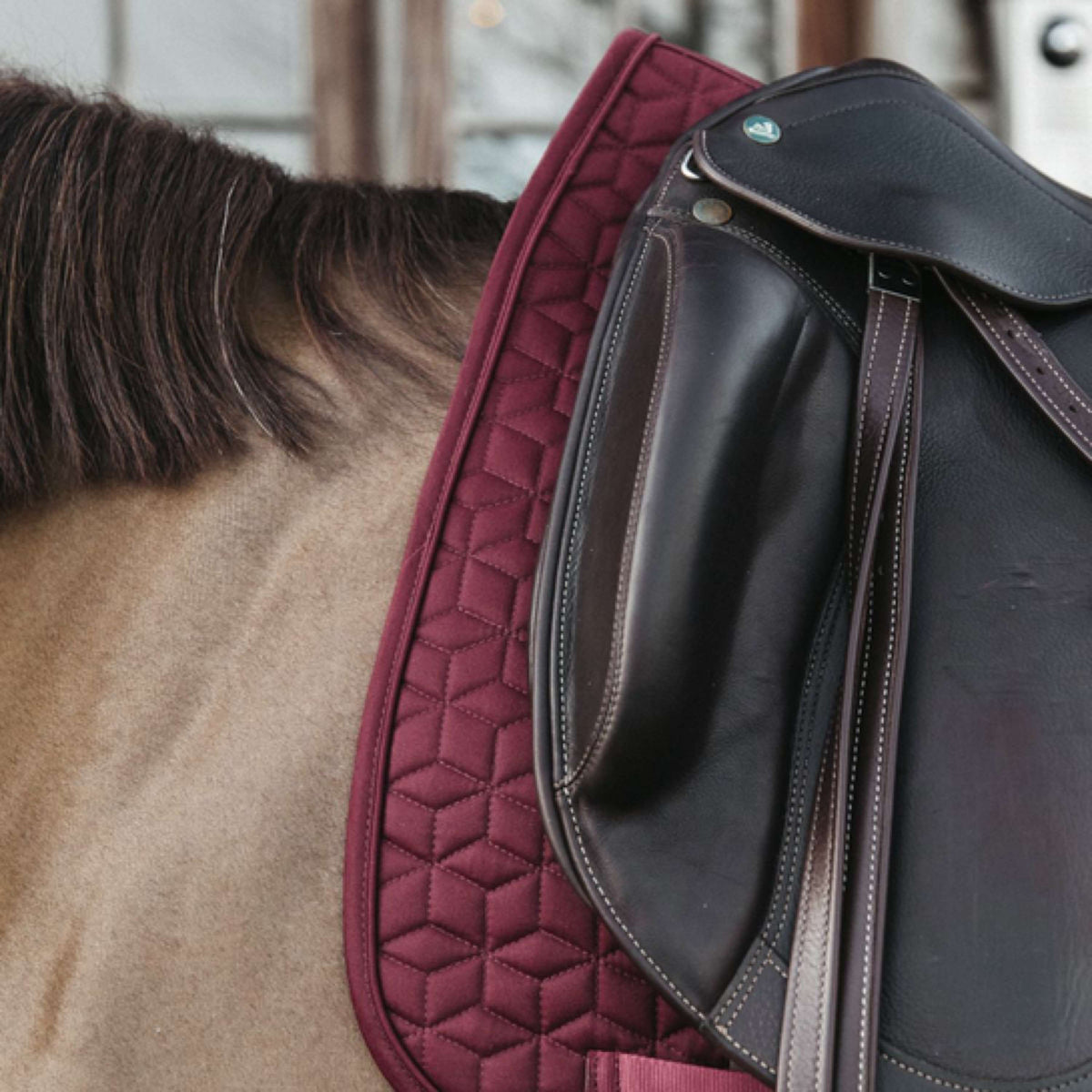 Kentucky Saddlepad Basic Dressage Bordeaux