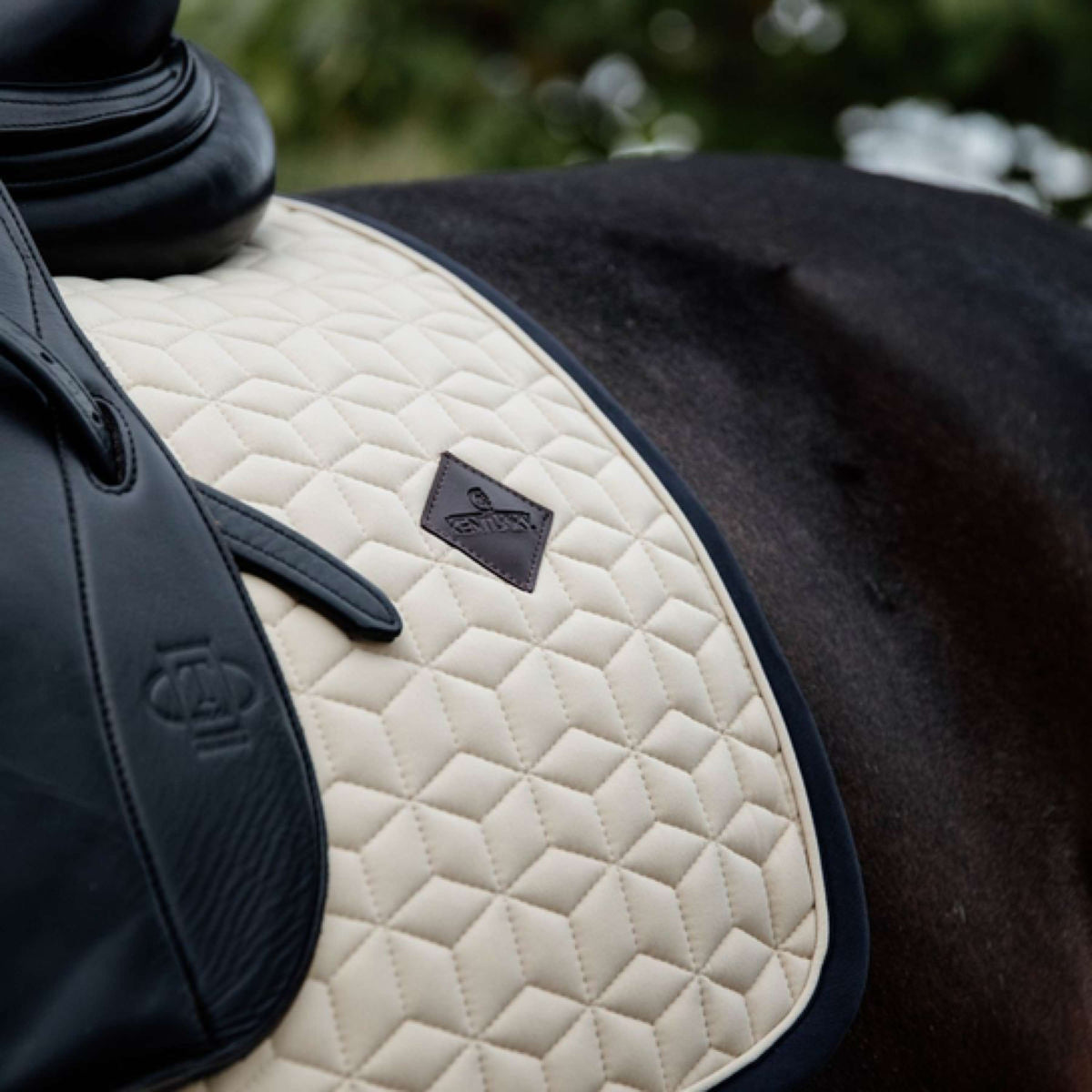 Kentucky Saddlepad Softshell Dressage Beige