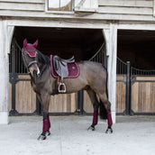 Kentucky Saddlepad Velvet Dressage Bordeaux