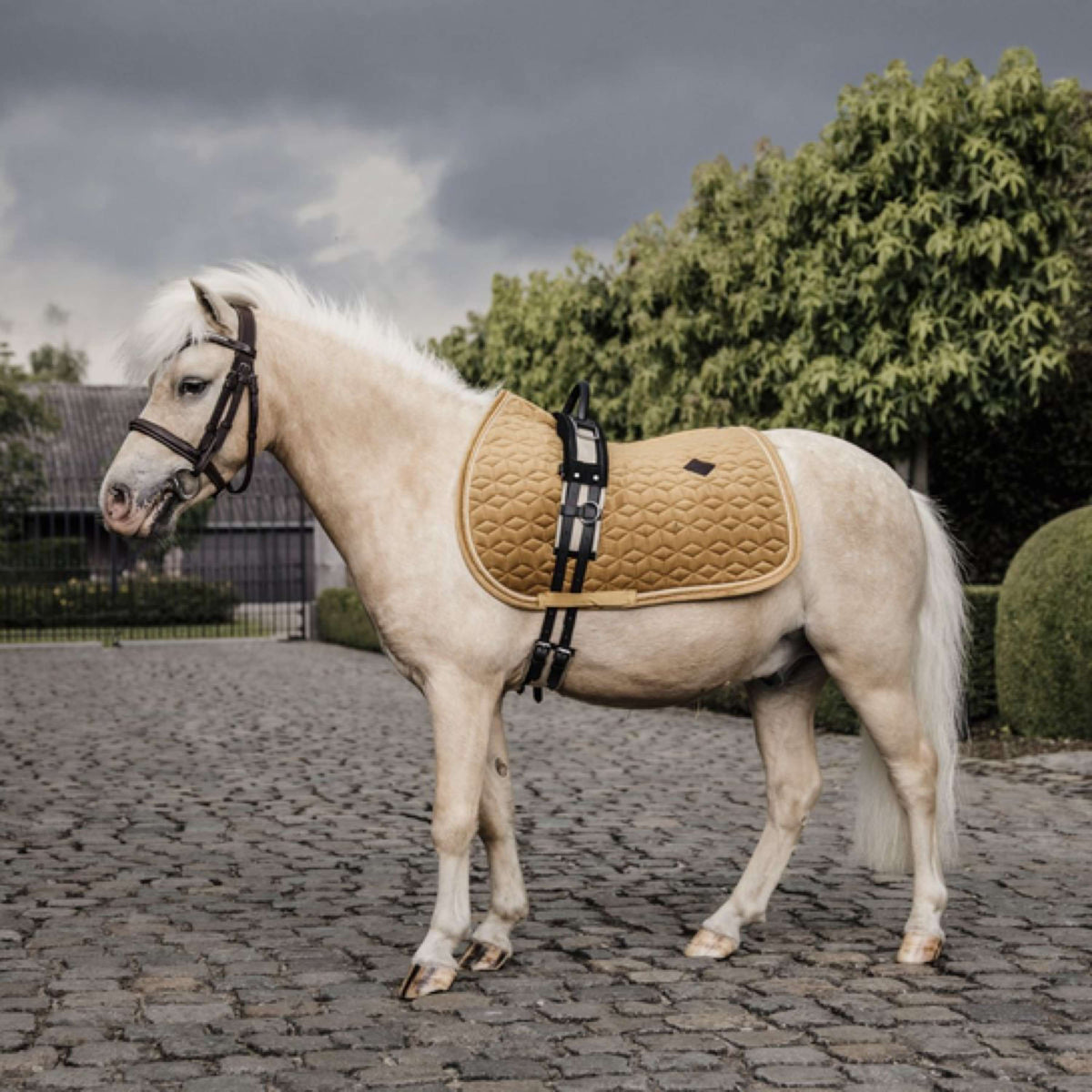 Kentucky Saddlepad Velvet Mustard