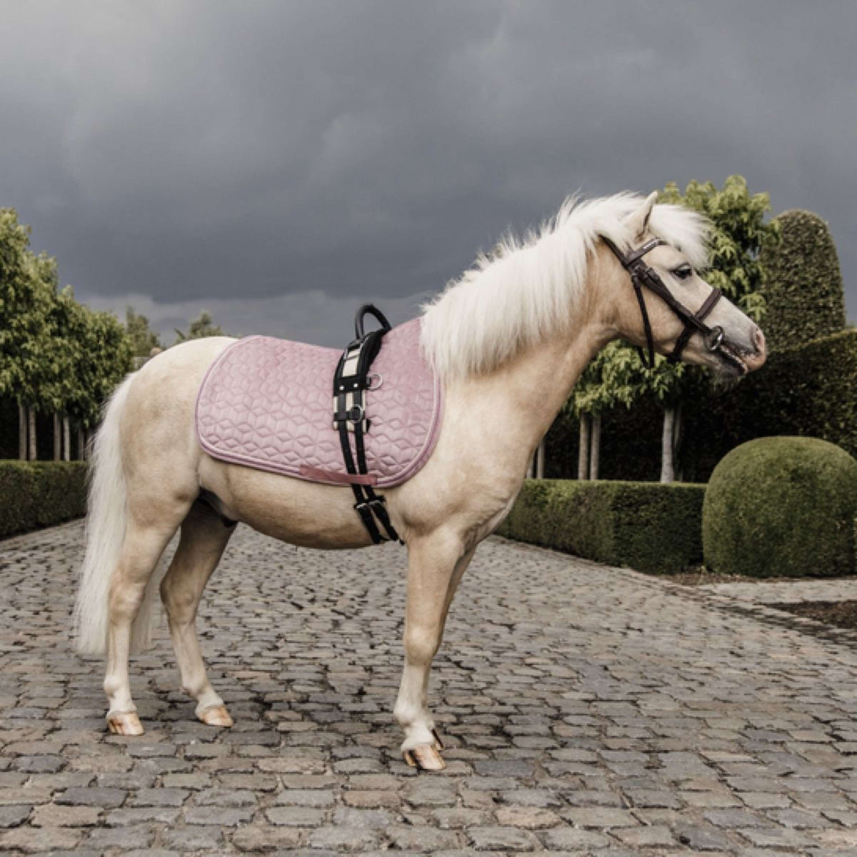 Kentucky Saddlepad Velvet Old Rose