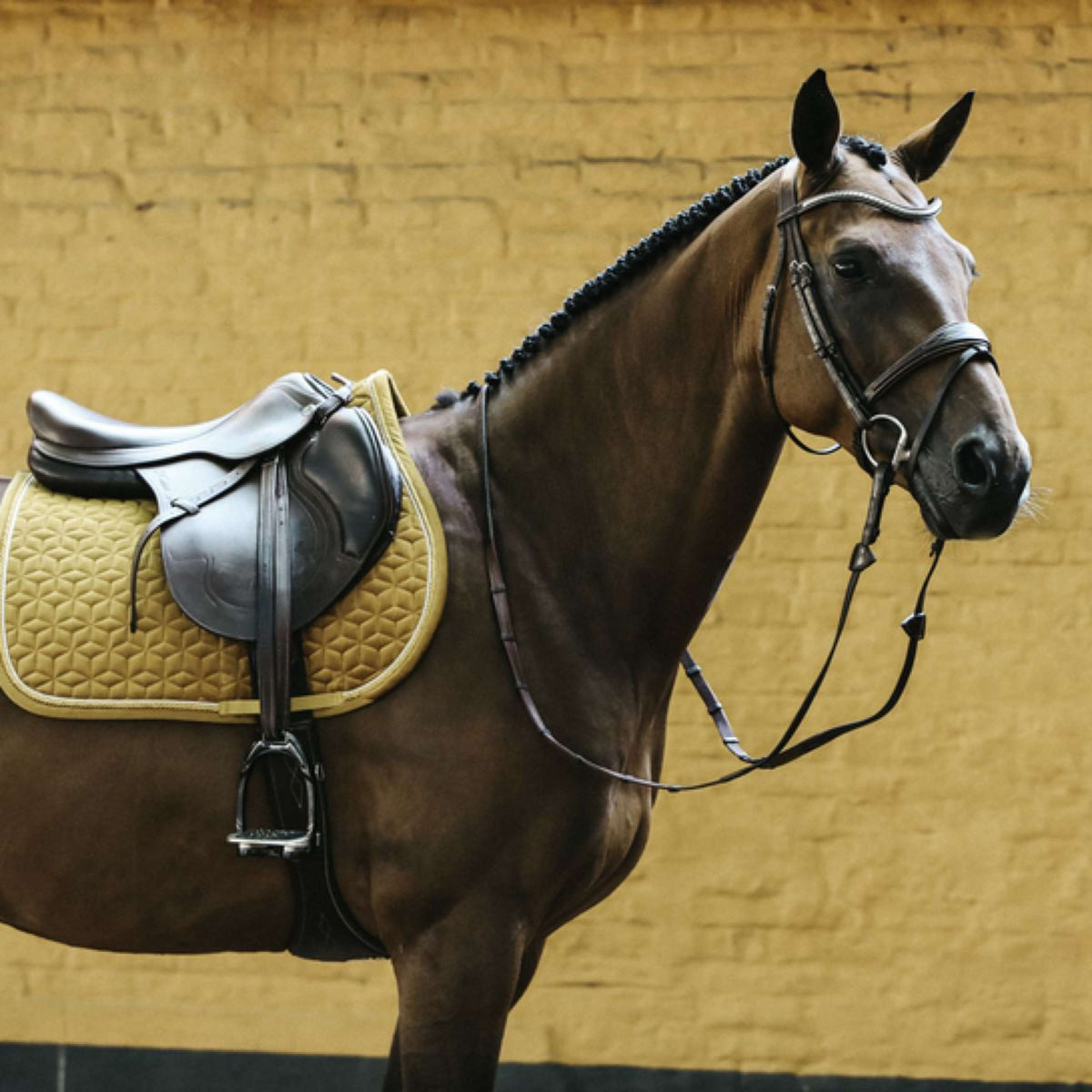 Kentucky Saddlepad Velvet Jumping mustard