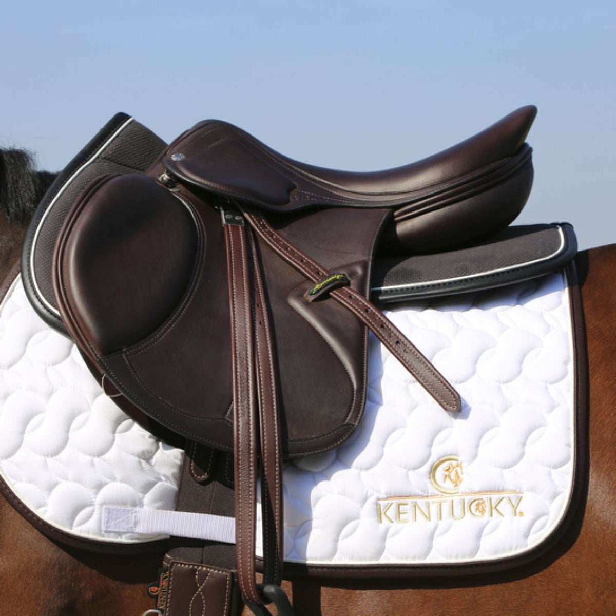 Kentucky Half Pad Halfpad Anatomic Absorb Black