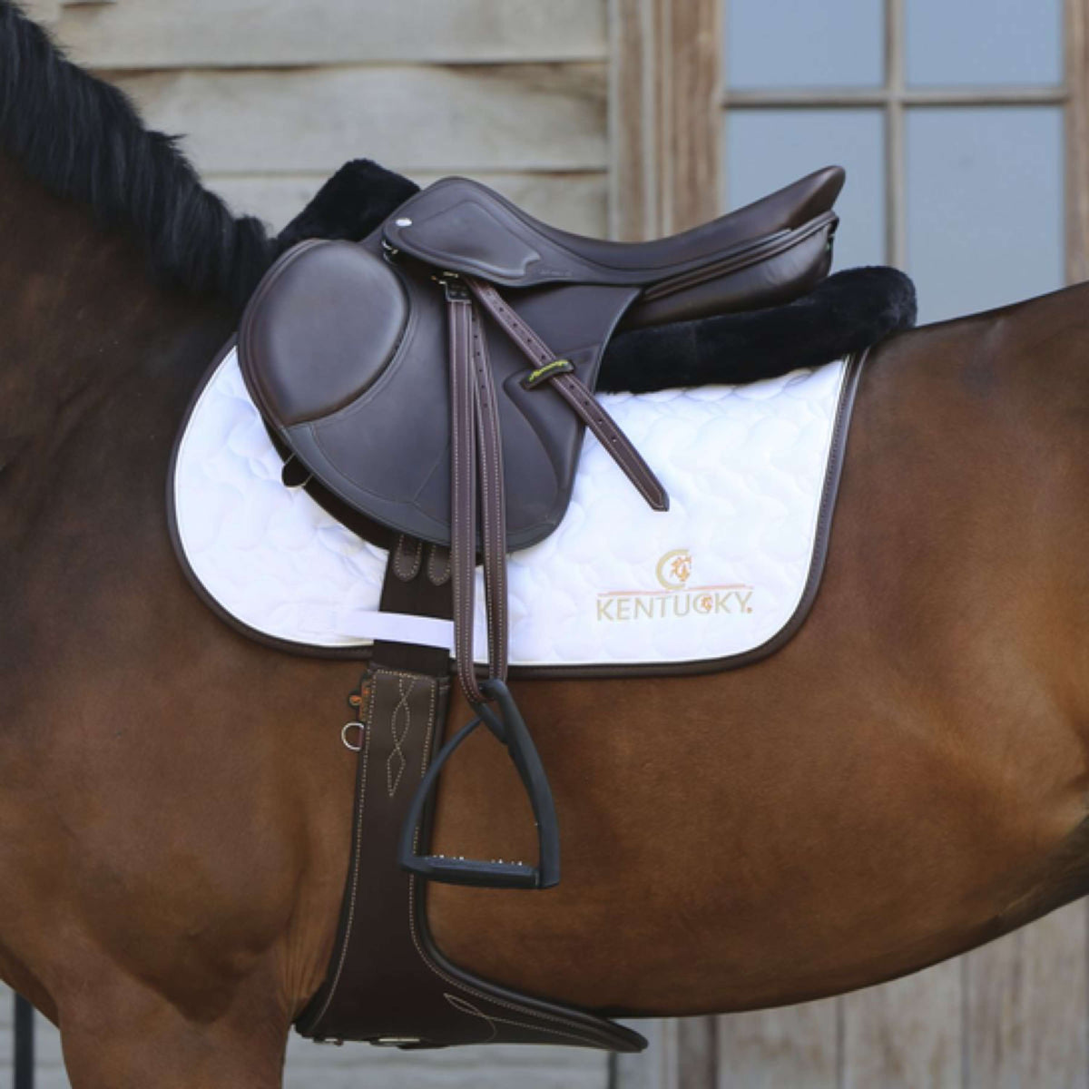 Kentucky Half Pad Halfpad Anatomic Absorb Black