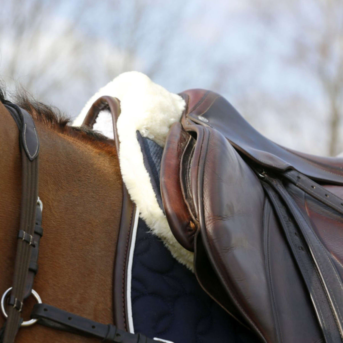 Kentucky Half Pad Halfpad Sheepskin Absorb Navy