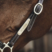 Kentucky Name Plate for the Headcollar Gold