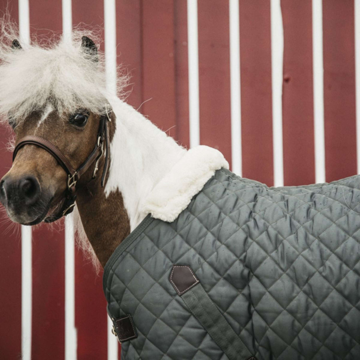 Kentucky Stable Rug 400g Green/Grey