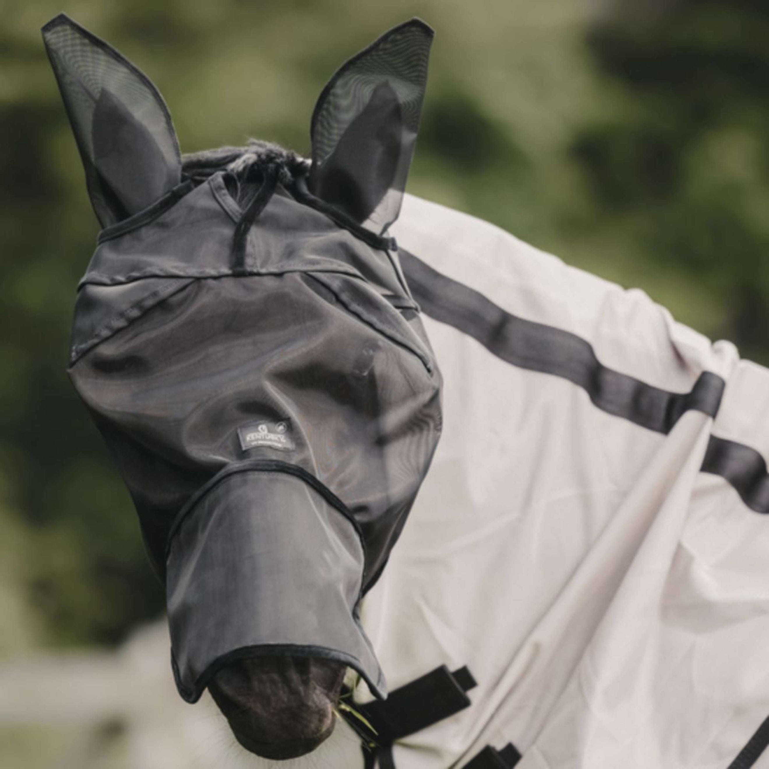 Kentucky Fly Mask Classic with Ears and Nose Beige