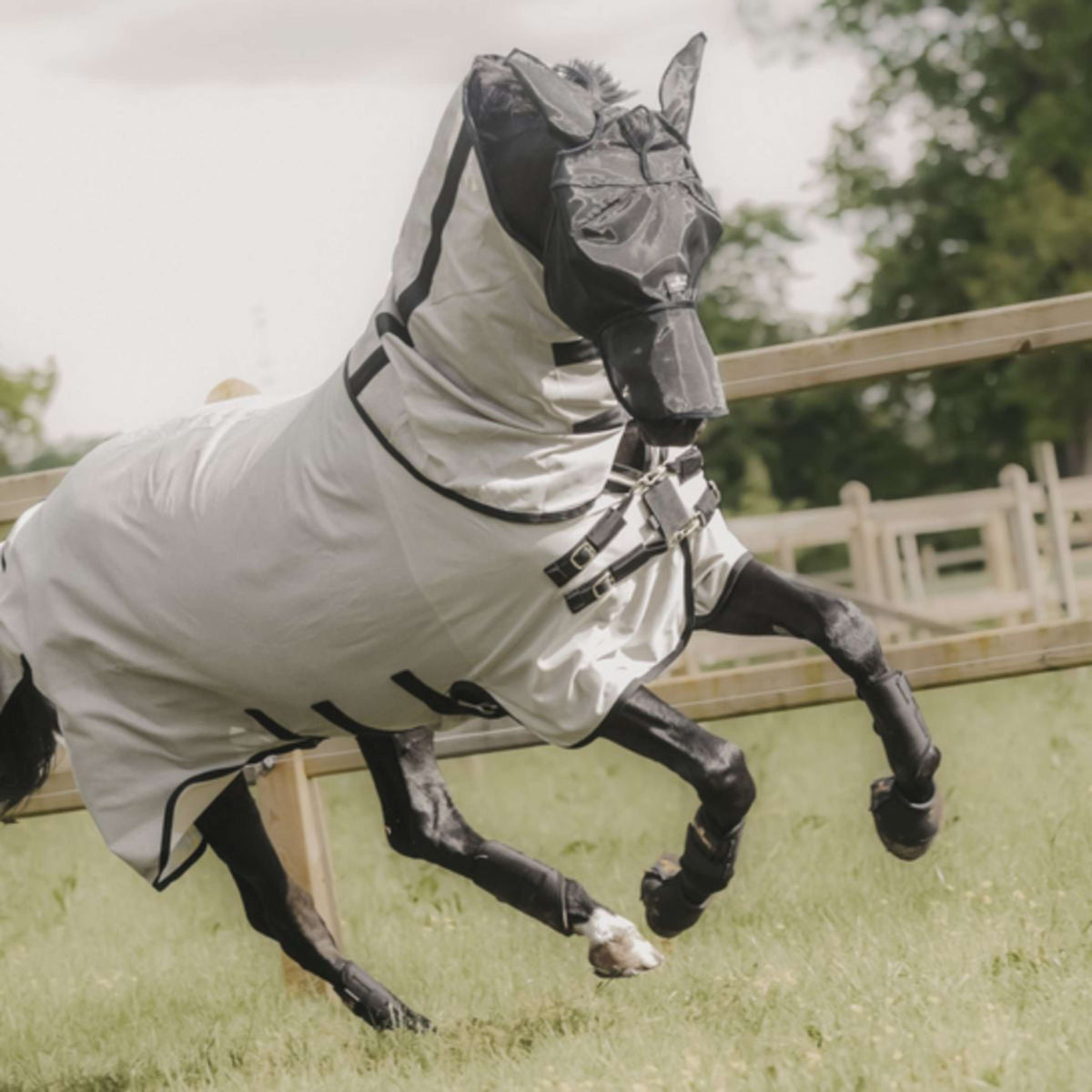 Kentucky Fly Mask Classic with Ears and Nose Beige