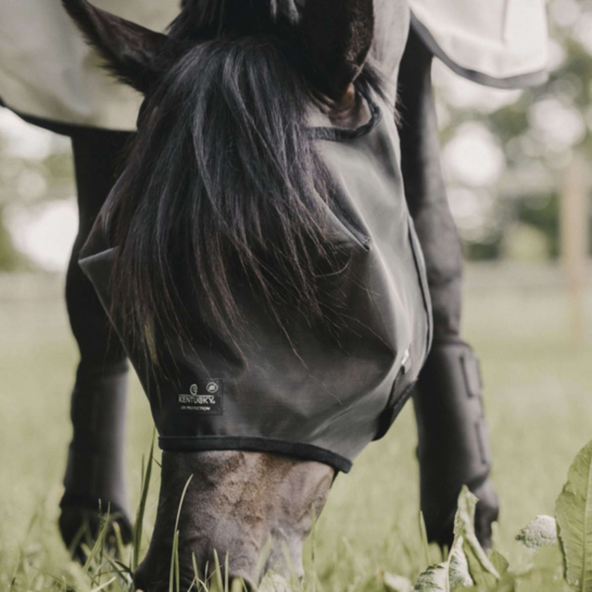 Kentucky Fly Mask Classic Black