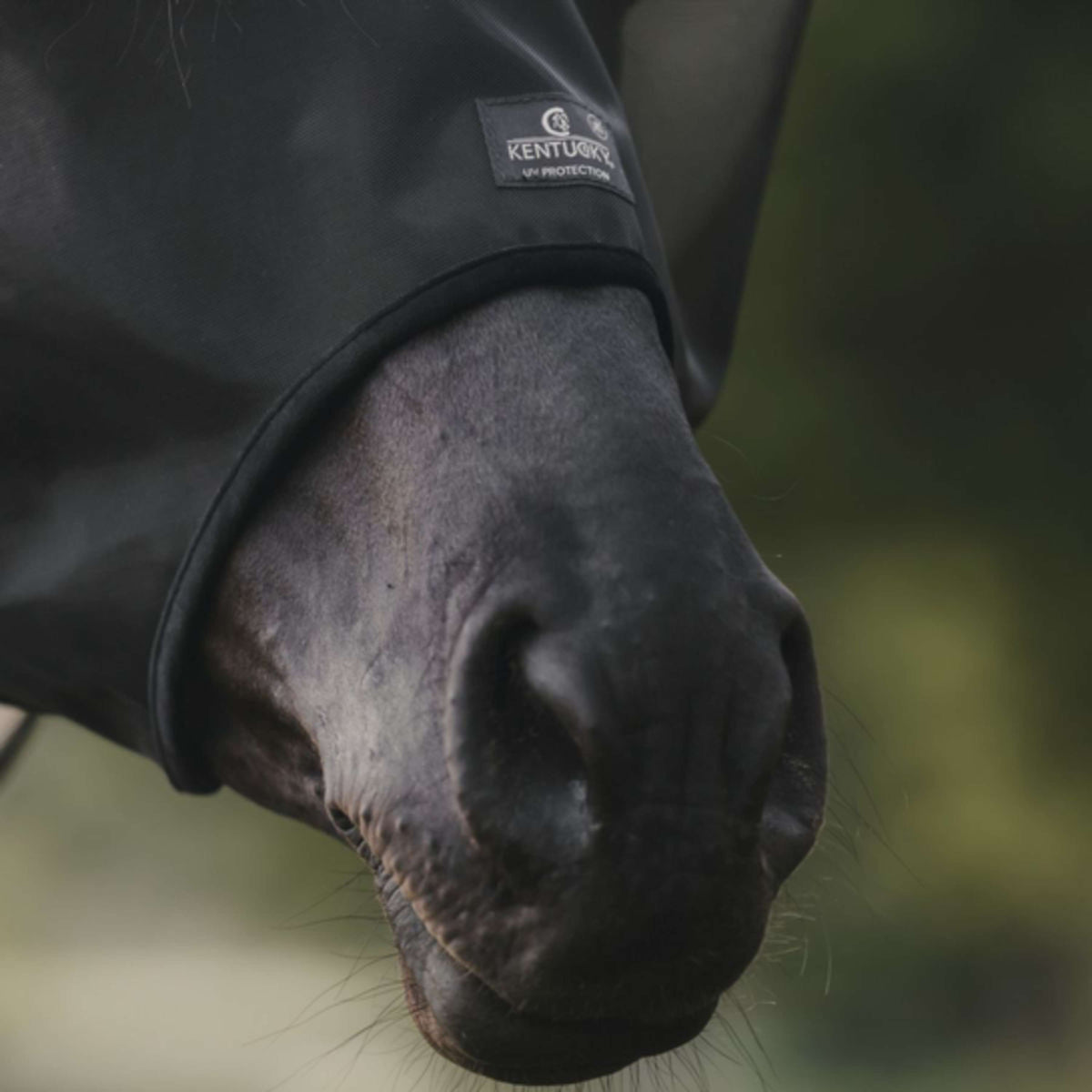 Kentucky Fly Mask Classic Black