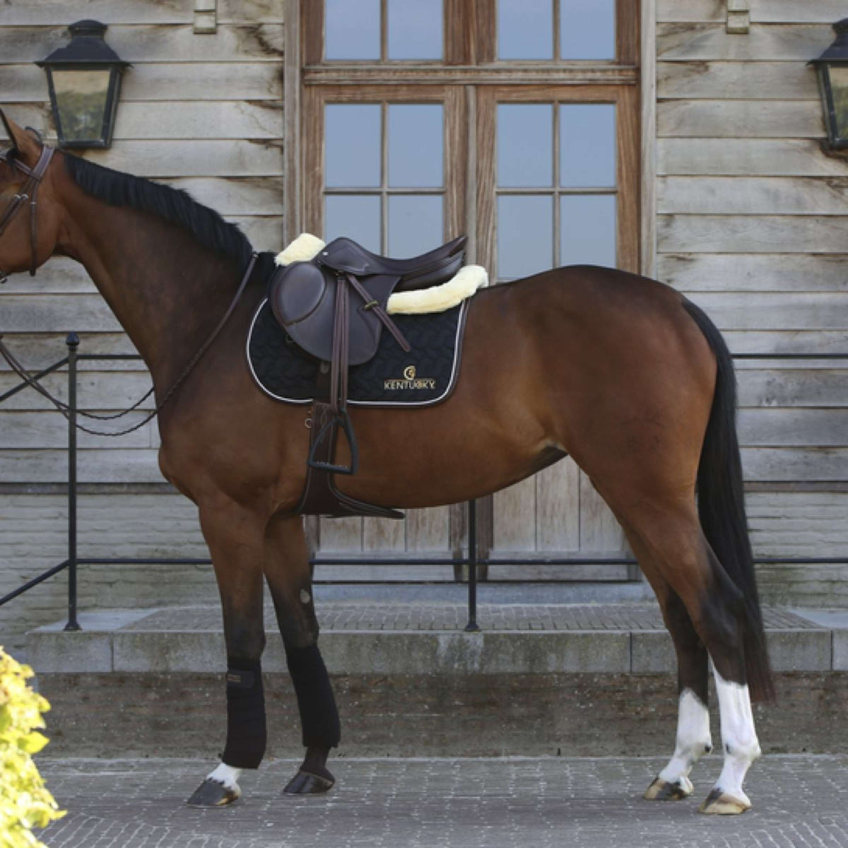 Kentucky Saddlepad Black/White/Brown