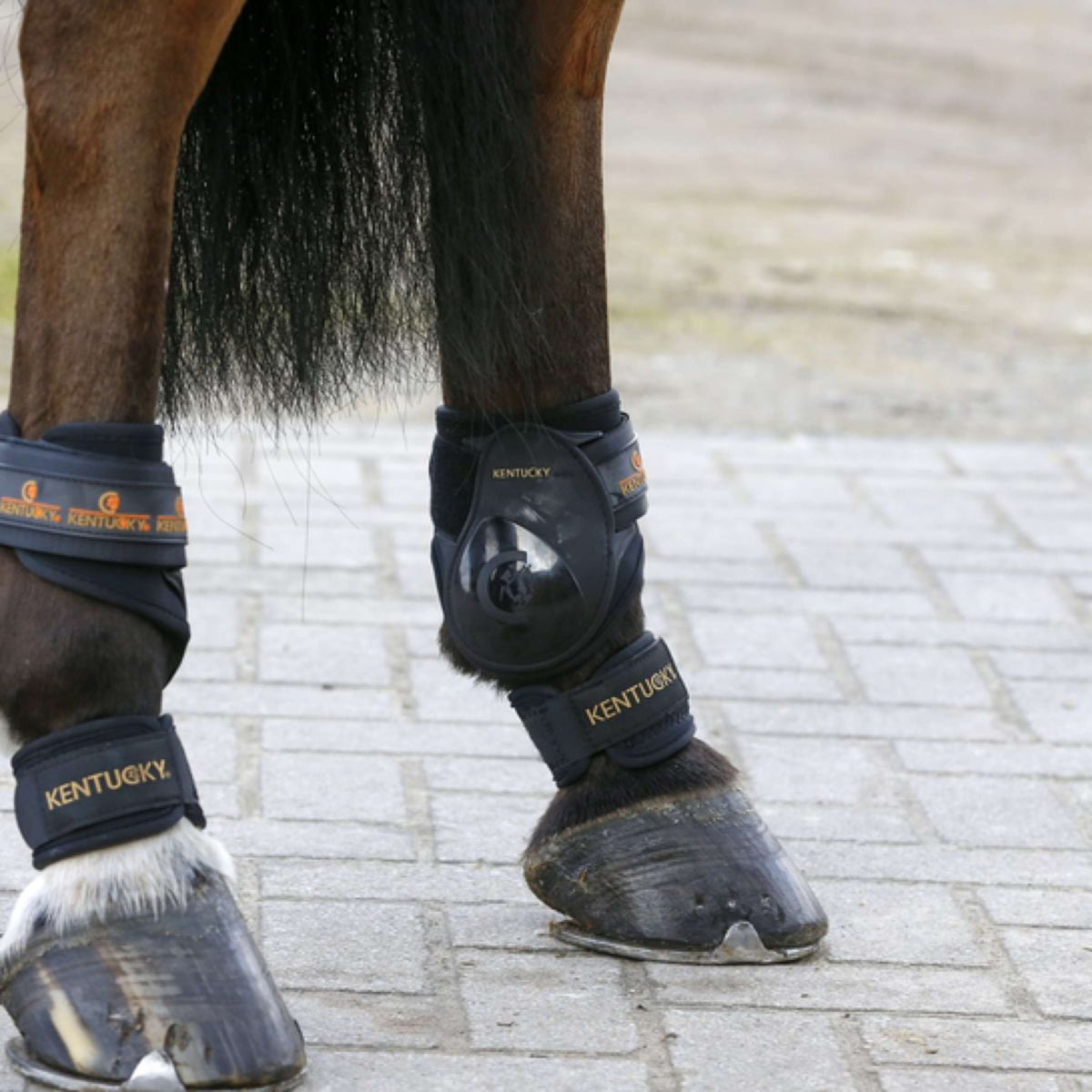 Kentucky Horsewear Pastern Wrap Pastern