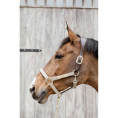 Kentucky Halter Anatomic Nylon Beige