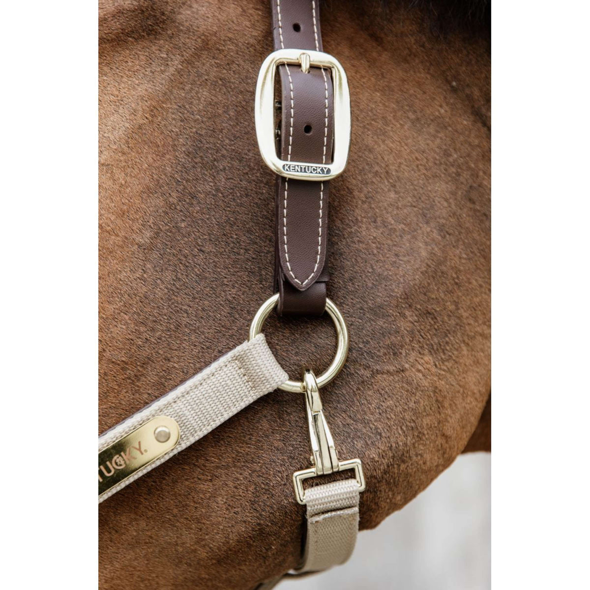 Kentucky Halter Anatomic Nylon Beige