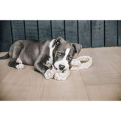 Kentucky Dog Toy Cotton Rope 8 Loop