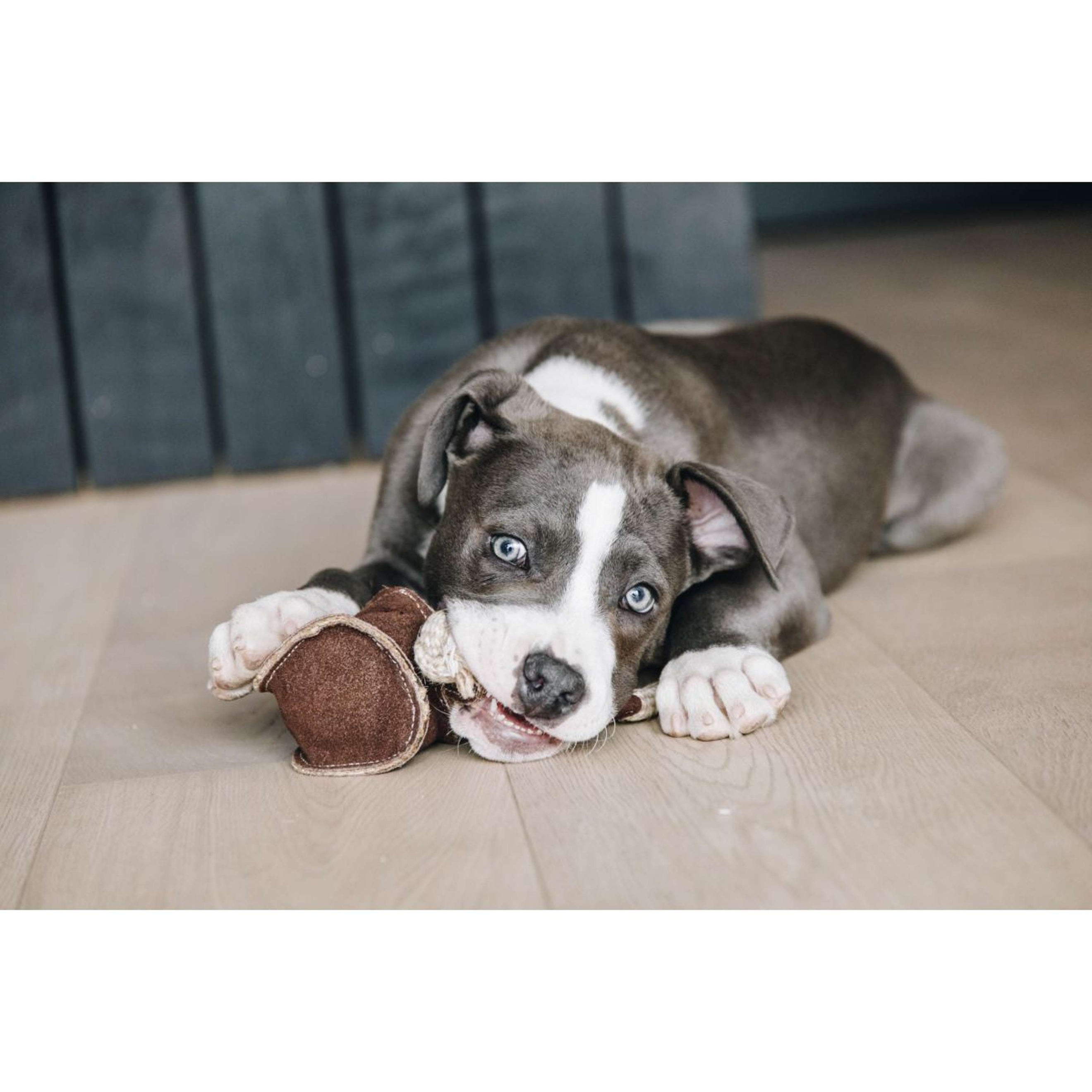 Kentucky Dog Toy Cotton Rope Baseball