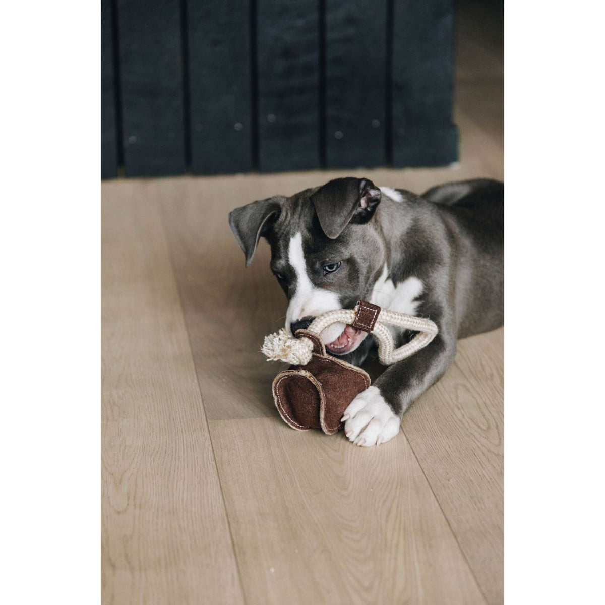 Kentucky Dog Toy Cotton Rope Baseball