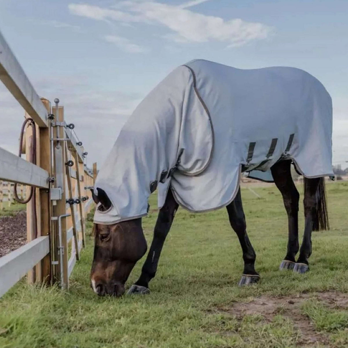 Kentucky Eczema Rug Grey