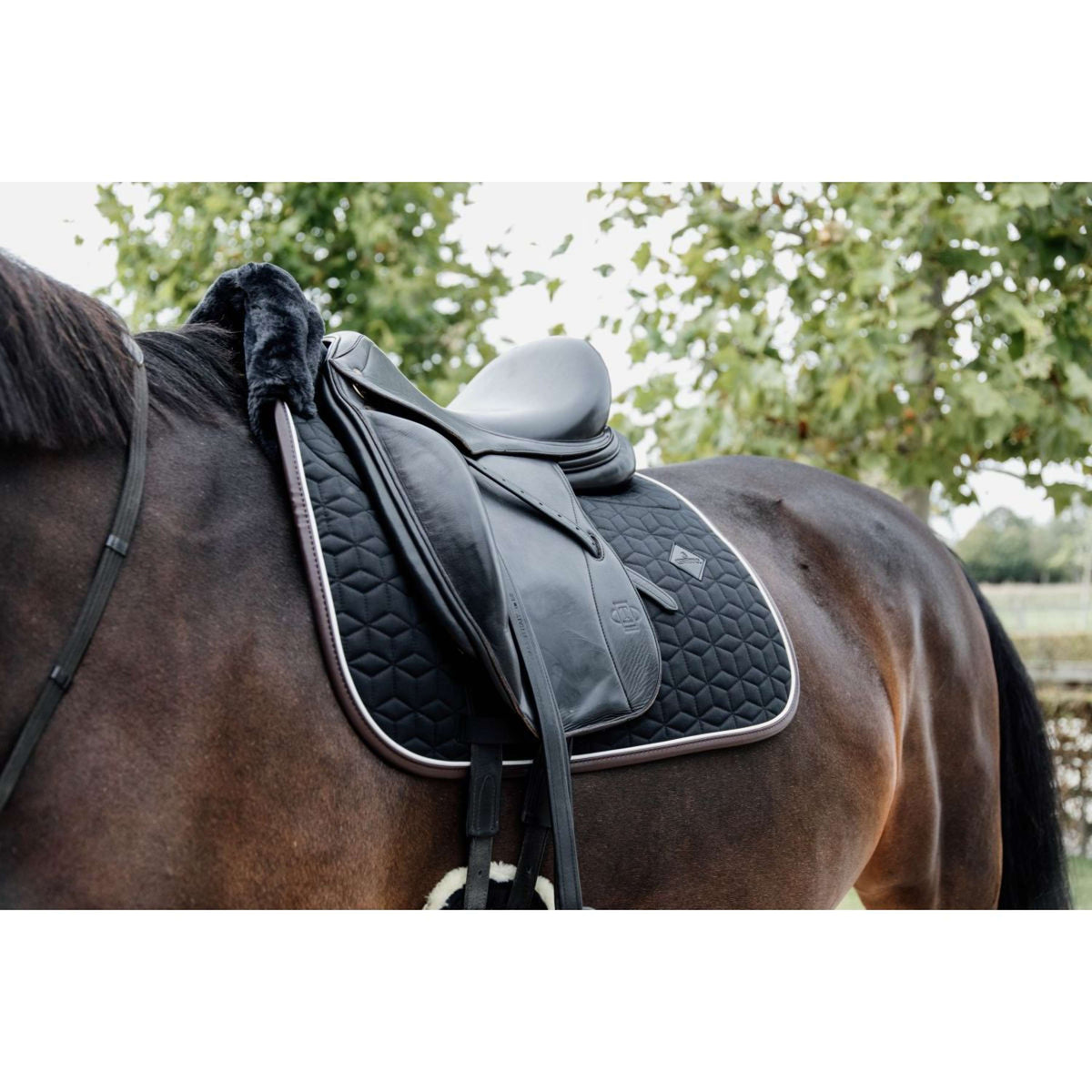 Kentucky Saddlepad Skin Friendly Dressage Black