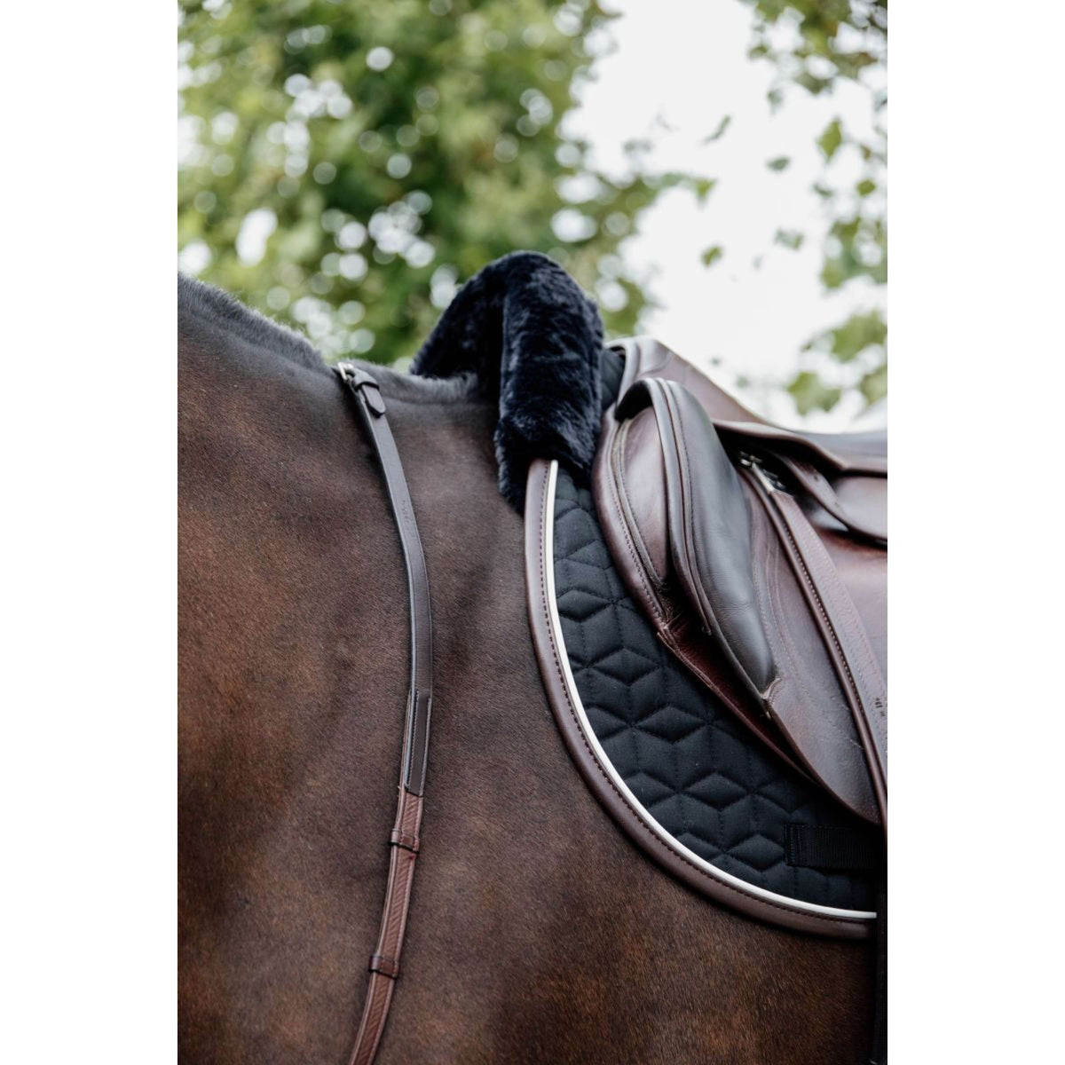 Kentucky Saddlepad Skin Friendly Jumping Black