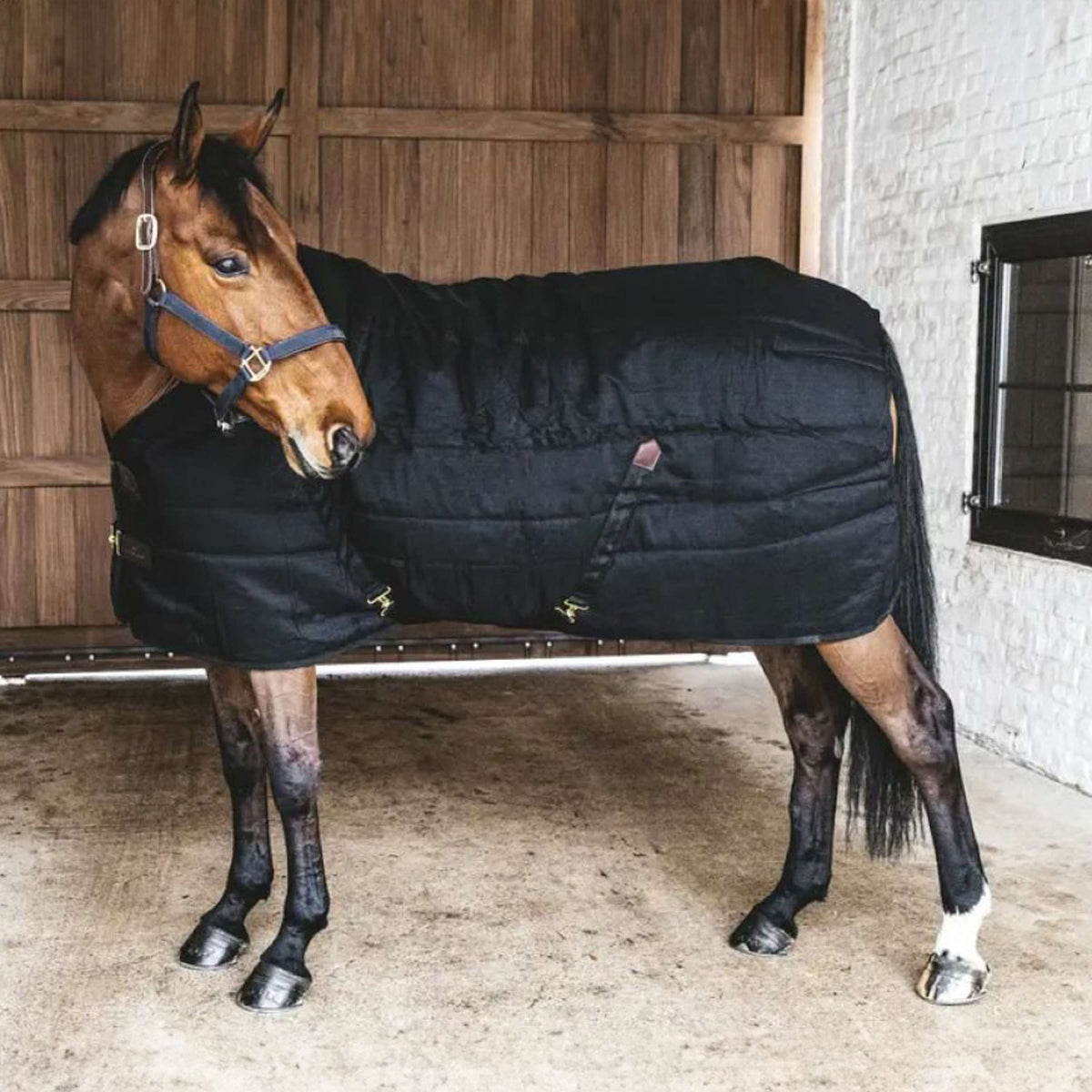 Kentucky Stable Rug Classic 100gr Black