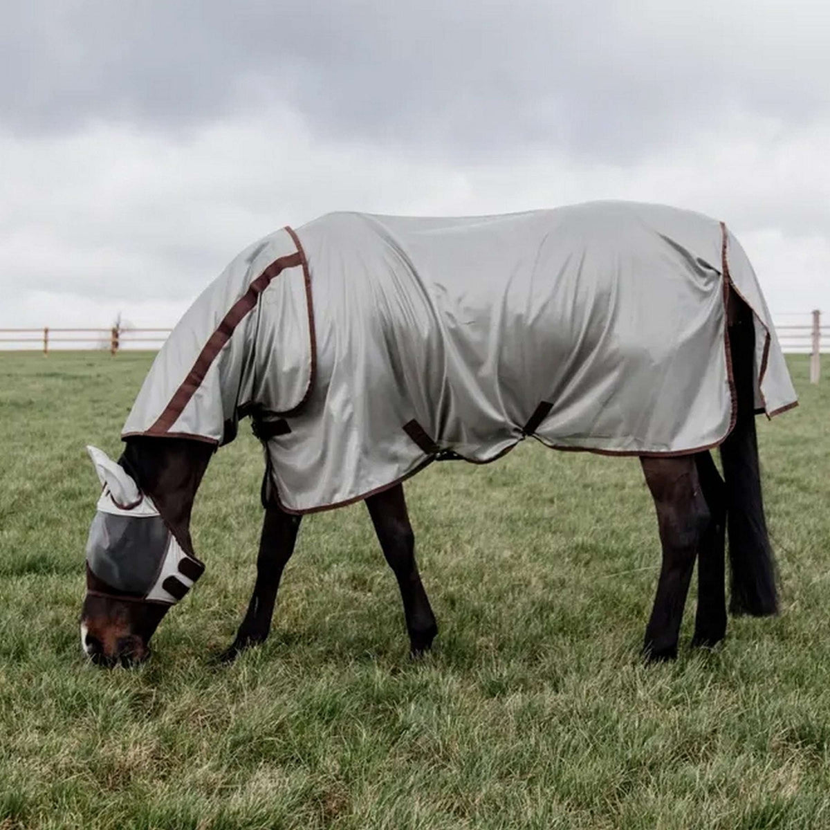 Kentucky Fly Rug Classic Silver