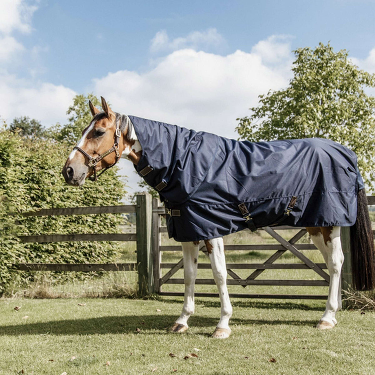 Kentucky Winter Rug All Weather Quick Dry with Fleece 150g Navy