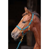 Covalliero Foal Halter TopLine Forest