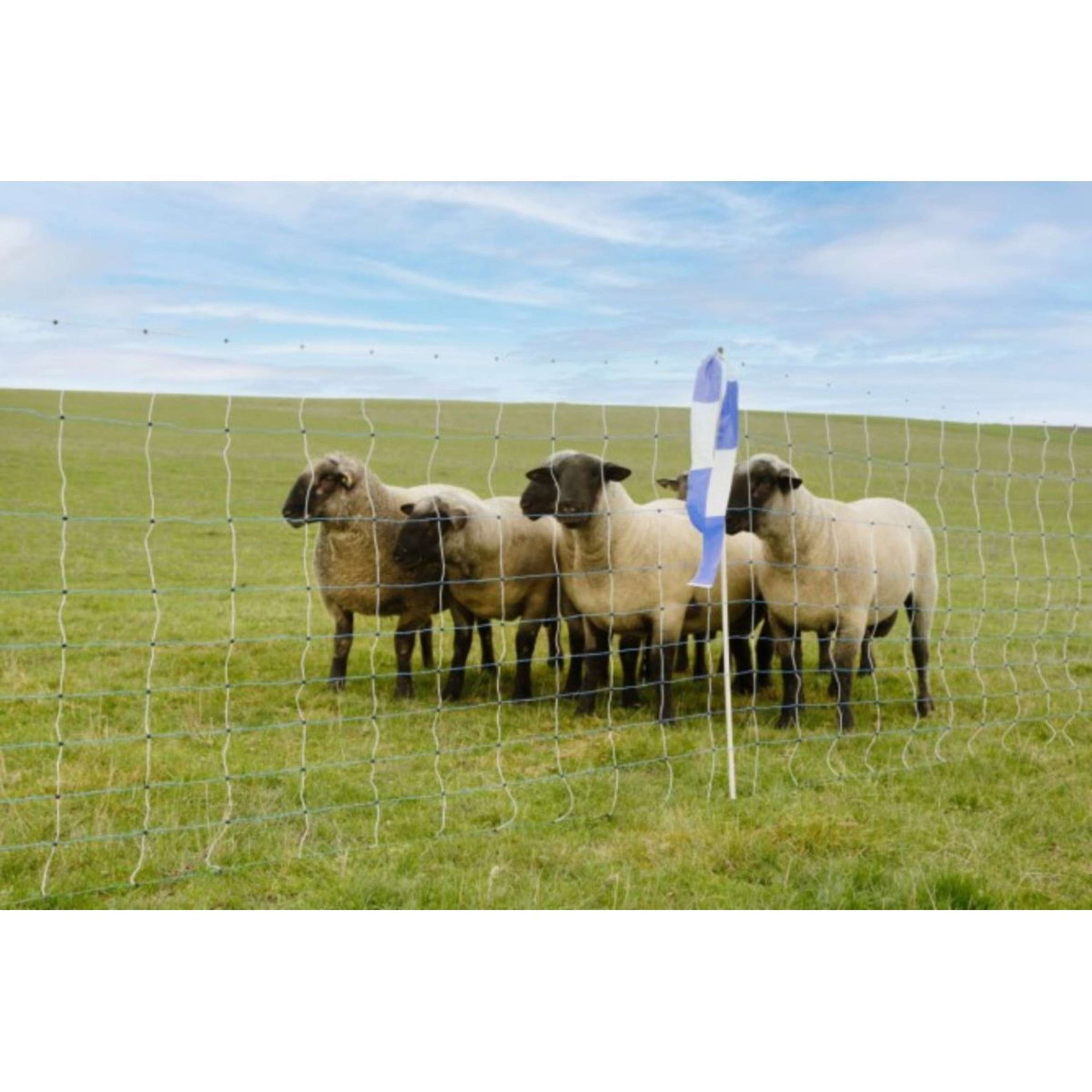 Ako Sheep Fencing Net OviNet Maxi White/Blue