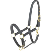 Covalliero Halter Classy Stone