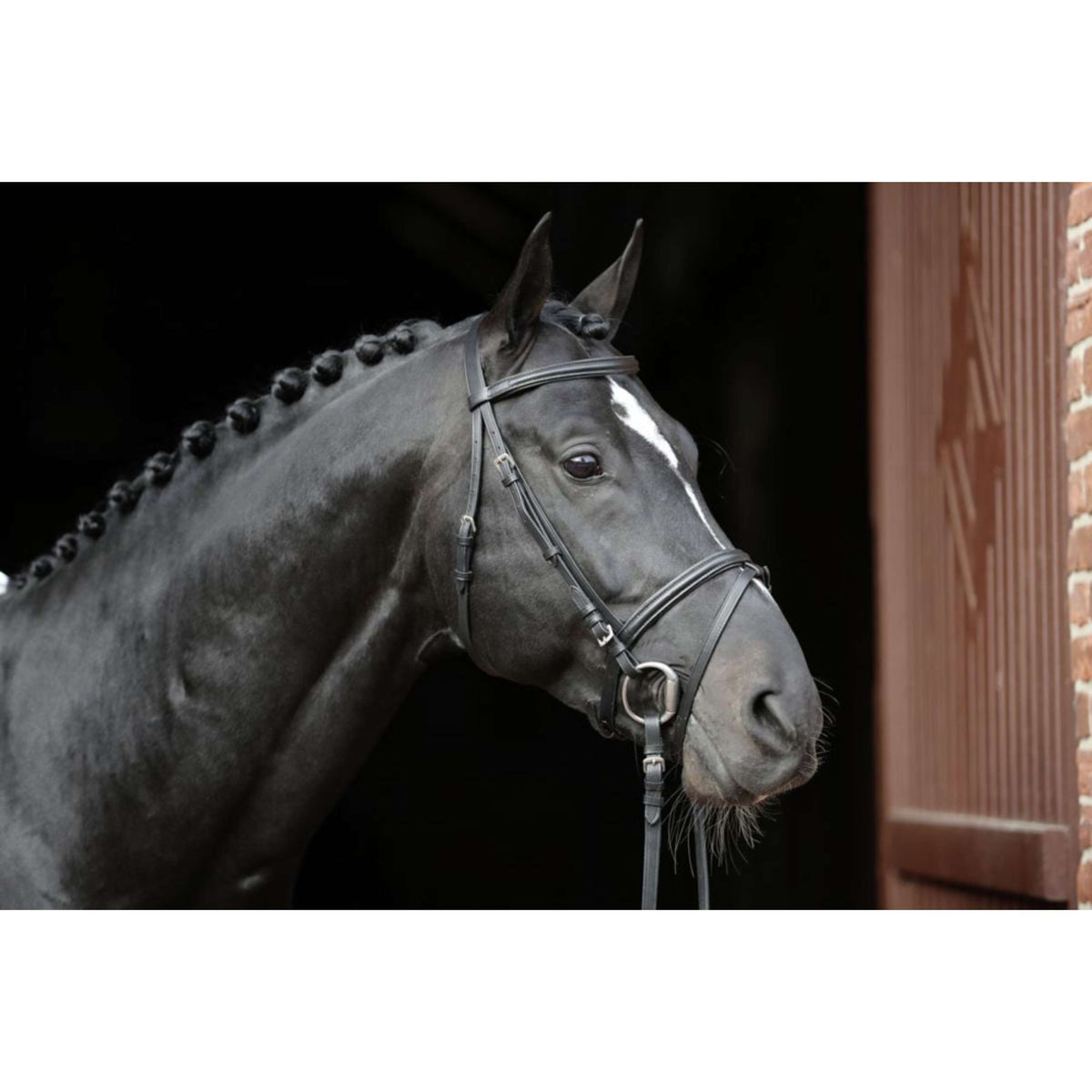 Kerbl Bridle Standard Black