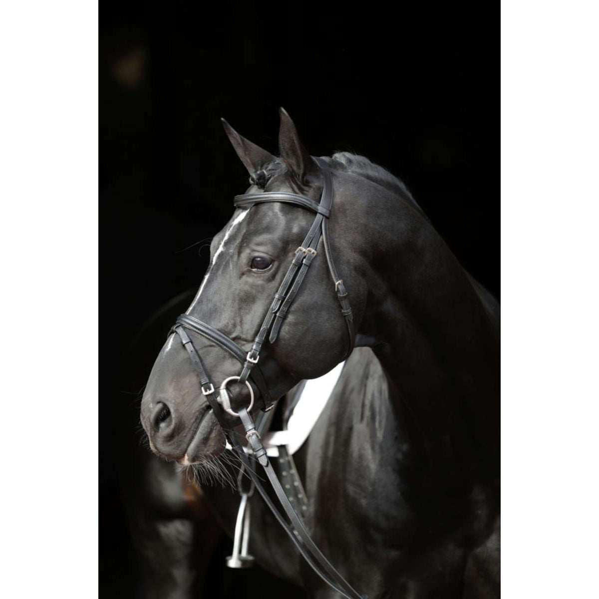 Kerbl Bridle Standard Black