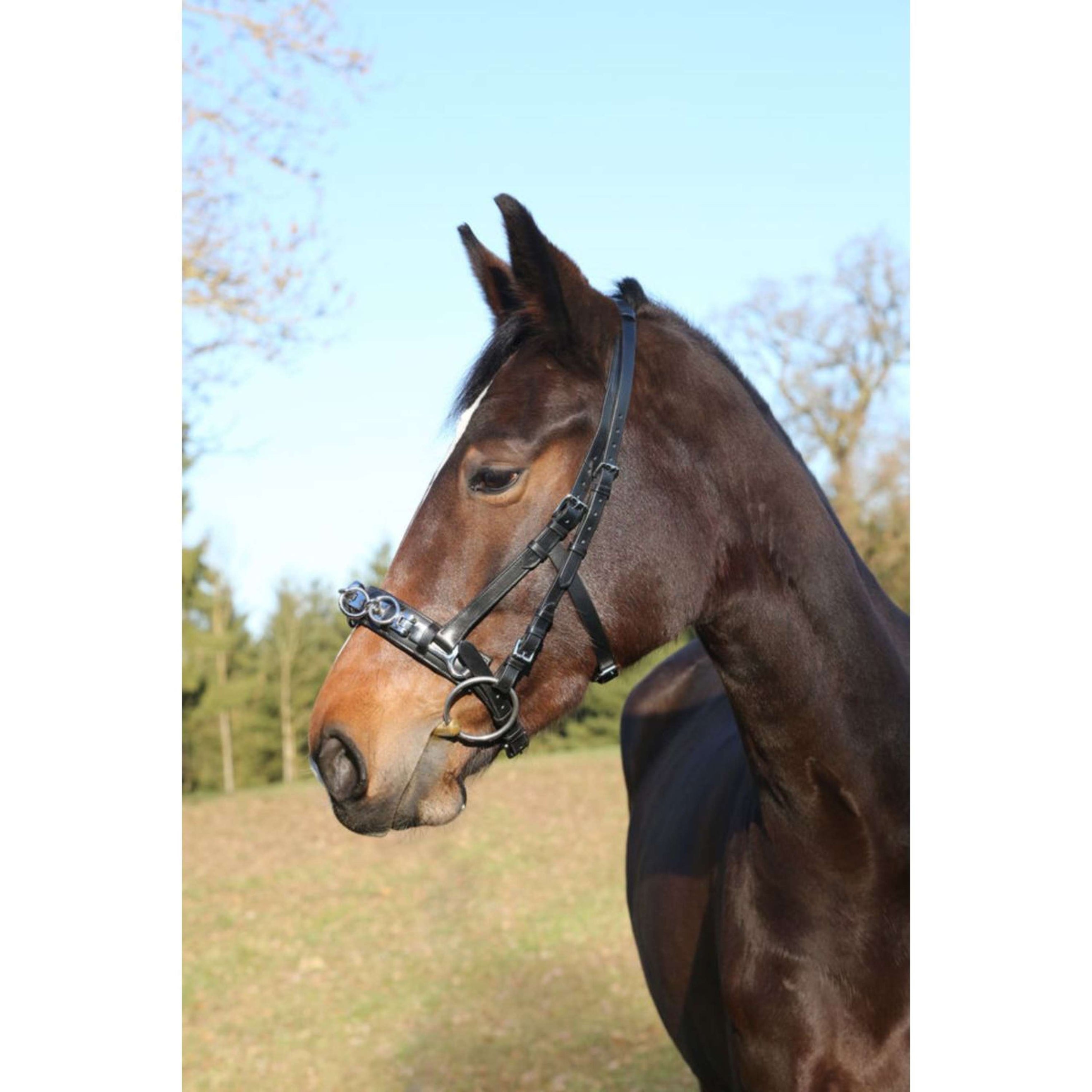 Kerbl Cavesson Leather incl. Bit Belt Black Kerbl Cavesson Leather incl. Bit Belt Black