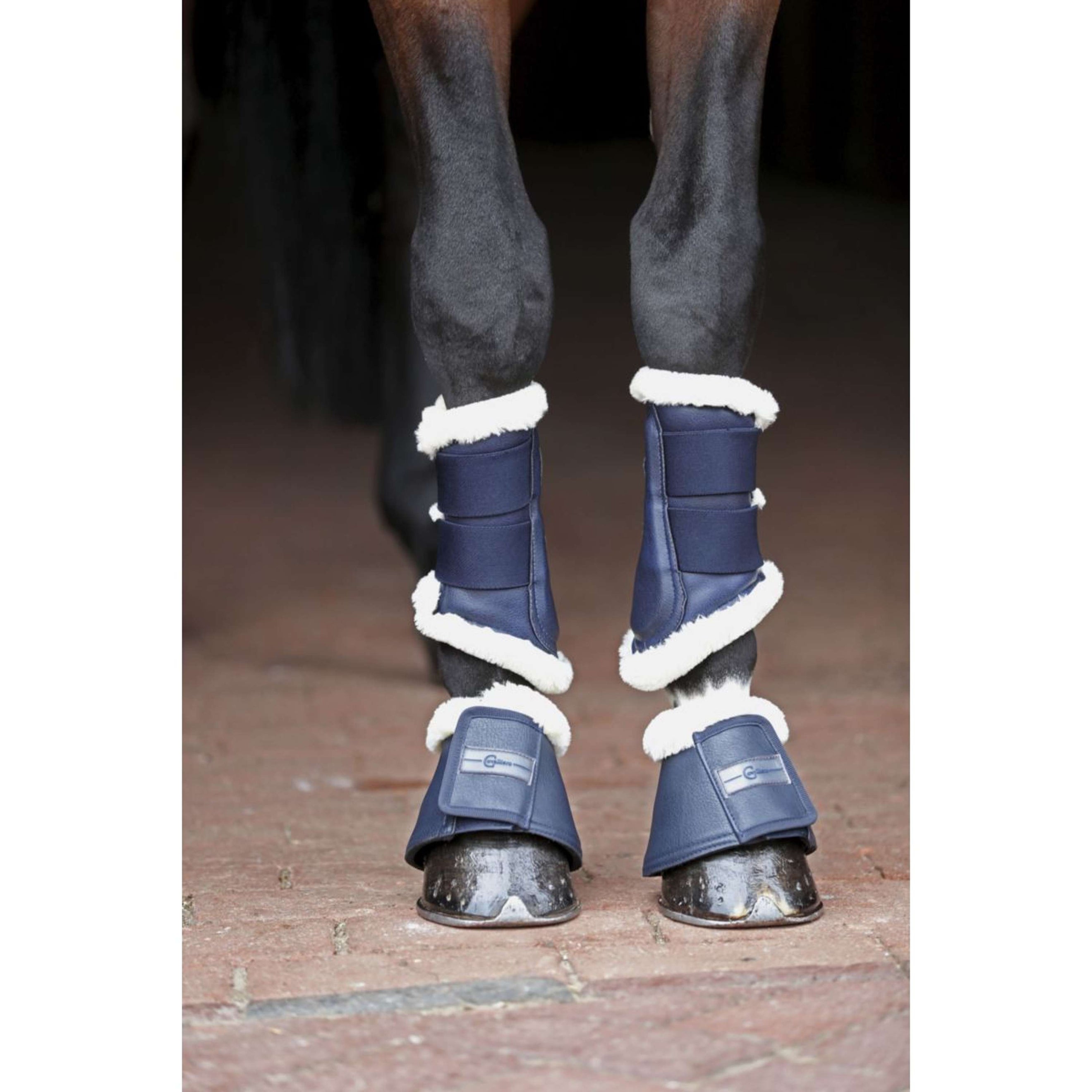 Covalliero Dressageboots Pelisa Navy