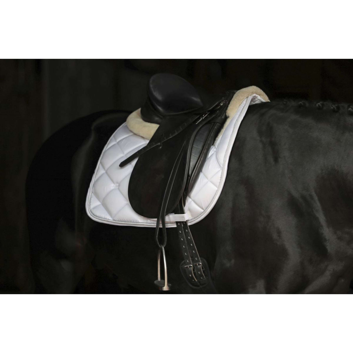 Covalliero Saddlepad Empara General Purpose White