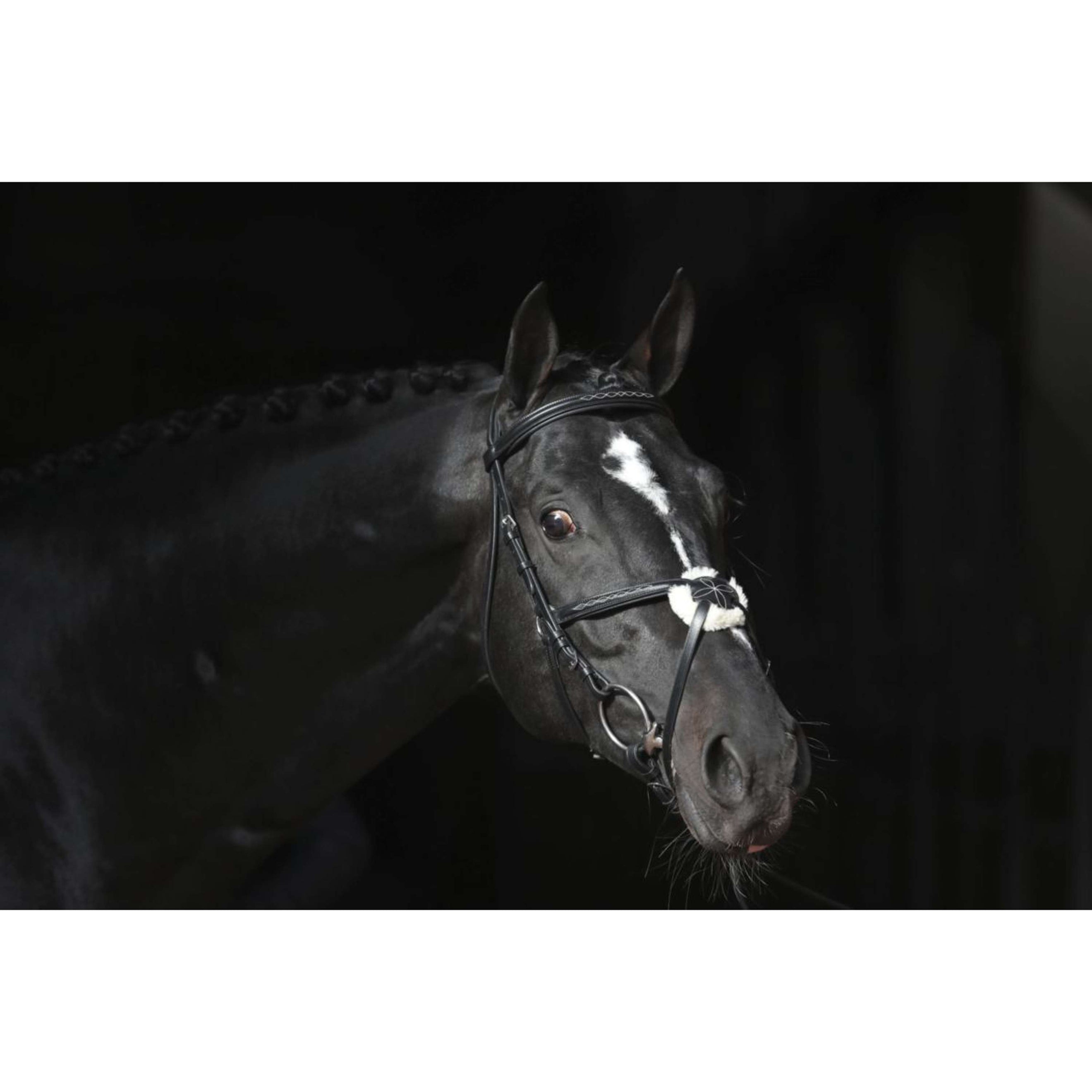 Kerbl Bridle Cancun Black