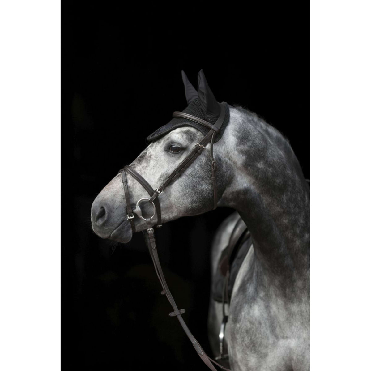 Covalliero Ear Net Empara Black